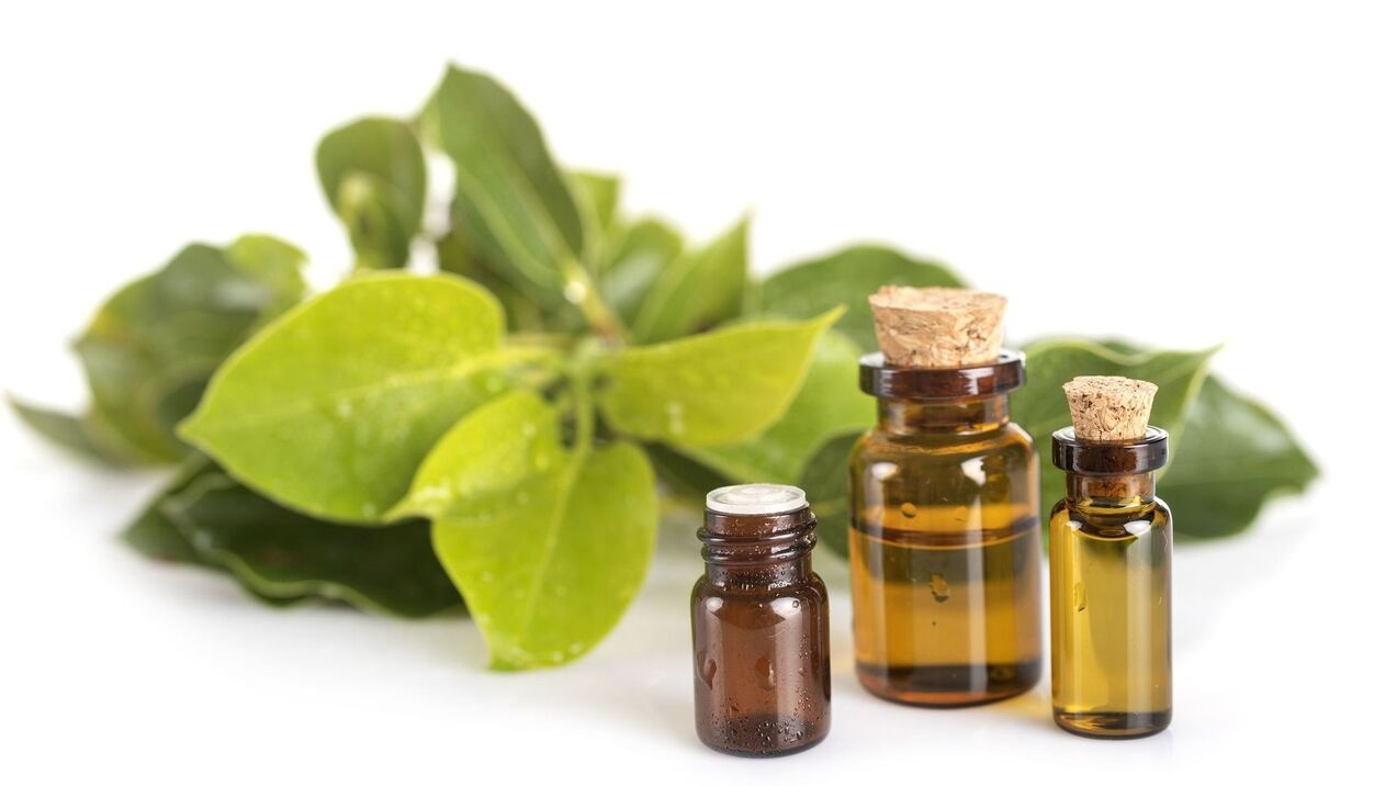 Ekstrakt kamfore v hondroine gel